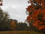 Lt1 Oak Knoll Rd - Photo 35