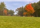 Lt1 Oak Knoll Rd - Photo 38