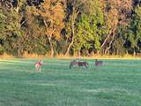 Lt1 Oak Knoll Rd - Photo 41