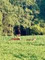 Lt1 Oak Knoll Rd - Photo 43