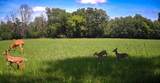Lt1 Oak Knoll Rd - Photo 6