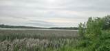 Lt7 Shore Ln - Photo 10