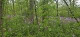 Lt7 Shore Ln - Photo 3