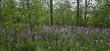 Lt7 Shore Ln - Photo 4