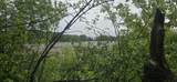 Lt7 Shore Ln - Photo 7