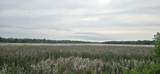 Lt7 Shore Ln - Photo 9
