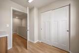 1364 Marigold Dr - Photo 40
