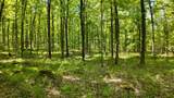 Lt1 Federal Forest Road - Photo 1