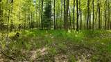 Lt1 Federal Forest Road - Photo 102