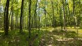 Lt1 Federal Forest Road - Photo 103