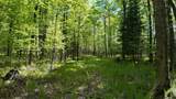 Lt1 Federal Forest Road - Photo 104