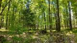 Lt1 Federal Forest Road - Photo 105