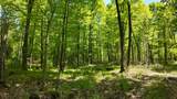 Lt1 Federal Forest Road - Photo 107