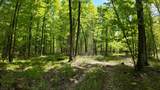 Lt1 Federal Forest Road - Photo 108