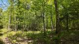 Lt1 Federal Forest Road - Photo 109