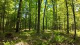 Lt1 Federal Forest Road - Photo 110