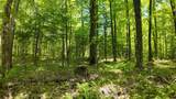Lt1 Federal Forest Road - Photo 111