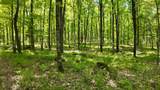 Lt1 Federal Forest Road - Photo 112