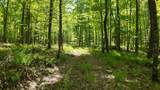Lt1 Federal Forest Road - Photo 113