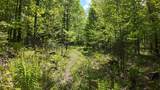 Lt1 Federal Forest Road - Photo 114
