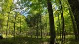 Lt1 Federal Forest Road - Photo 115