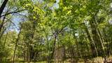 Lt1 Federal Forest Road - Photo 116