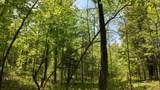 Lt1 Federal Forest Road - Photo 117