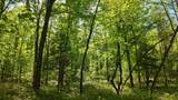 Lt1 Federal Forest Road - Photo 118