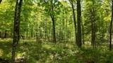 Lt1 Federal Forest Road - Photo 119