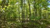 Lt1 Federal Forest Road - Photo 121