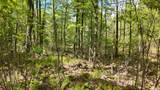 Lt1 Federal Forest Road - Photo 122