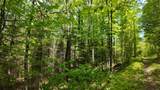 Lt1 Federal Forest Road - Photo 123