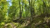 Lt1 Federal Forest Road - Photo 124