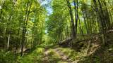 Lt1 Federal Forest Road - Photo 125