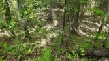 Lt1 Federal Forest Road - Photo 126