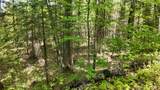 Lt1 Federal Forest Road - Photo 127