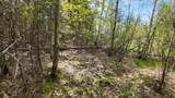 Lt1 Federal Forest Road - Photo 128