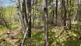 Lt1 Federal Forest Road - Photo 129