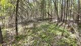 Lt1 Federal Forest Road - Photo 130