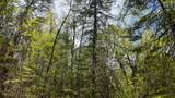 Lt1 Federal Forest Road - Photo 131