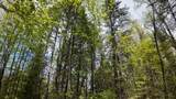 Lt1 Federal Forest Road - Photo 132