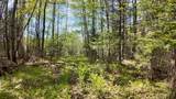 Lt1 Federal Forest Road - Photo 135