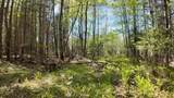 Lt1 Federal Forest Road - Photo 136