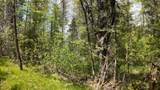 Lt1 Federal Forest Road - Photo 139