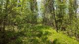 Lt1 Federal Forest Road - Photo 140