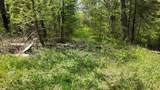 Lt1 Federal Forest Road - Photo 141