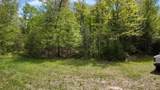 Lt1 Federal Forest Road - Photo 143