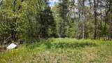 Lt1 Federal Forest Road - Photo 144
