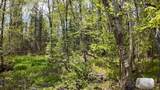 Lt1 Federal Forest Road - Photo 145