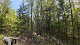 Lt1 Federal Forest Road - Photo 147